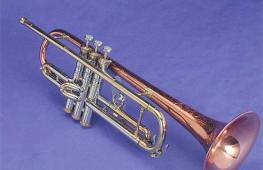 Труба (музыкальный инструмент): виды, фото Какие бывают трубы музыкальный инструмент