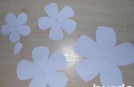 Майстер-клас: своїми руками квіти із тканини (фото)