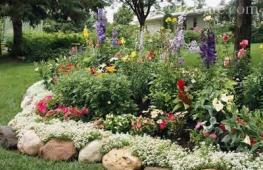 Do-it-yourself flower beds in the country: original ideas for decorating beautiful flower beds for beginners