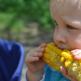 Як виростити кукурудзу на дачі з насіння або через розсаду: коли садити, як доглядати та інші особливості