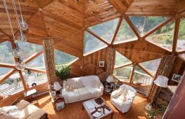 DIY dome frame house