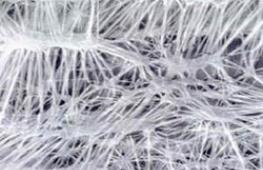 Jak działają Gore-Tex i inne tkaniny membranowe Sekrety technologii ― Membrana GORE-TEX to wyjątkowy, wielowarstwowy, rewolucyjny materiał