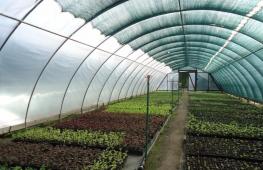 Features of choosing shading mesh for greenhouses and canopies